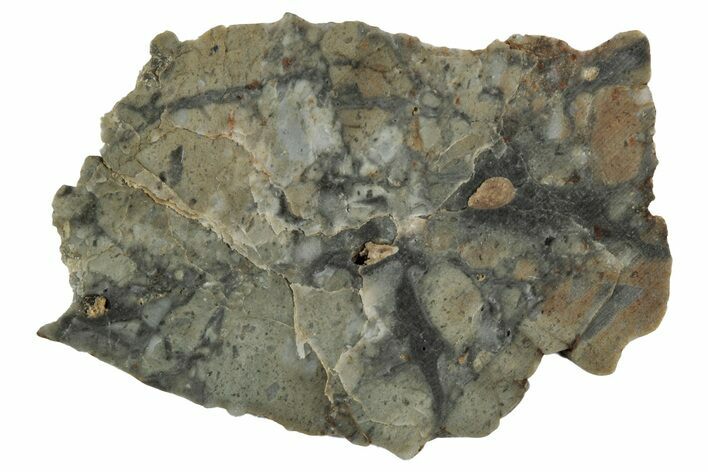 Lunar Meteorite Slice ( g) - NWA #346559